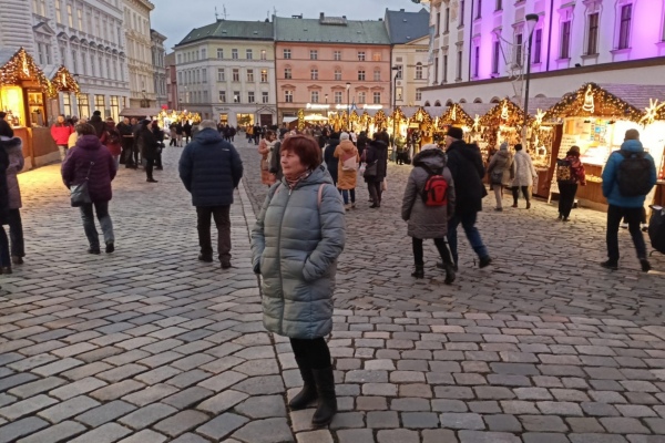 kliknte pro zobrazen pvodnho obrzku